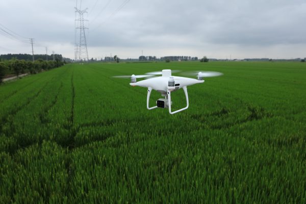 DJI P4 Multispectral - the Best Drone for the Agricultural Industry ...